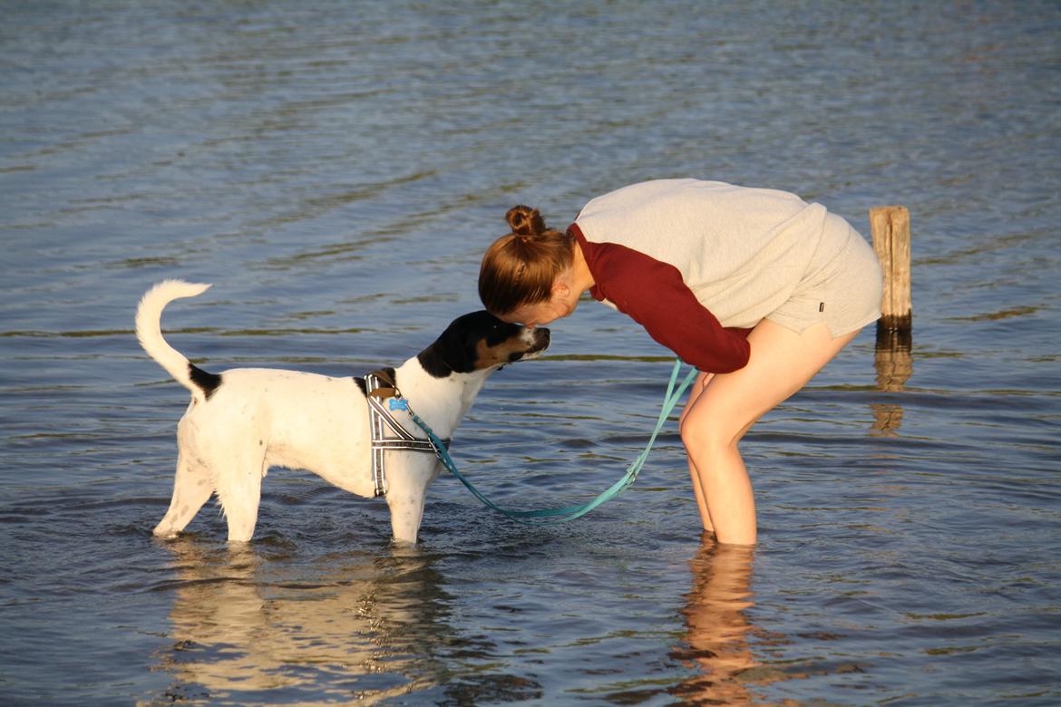 Blanding af racer Pluto - Mor red mig! det vand! :O billede 11