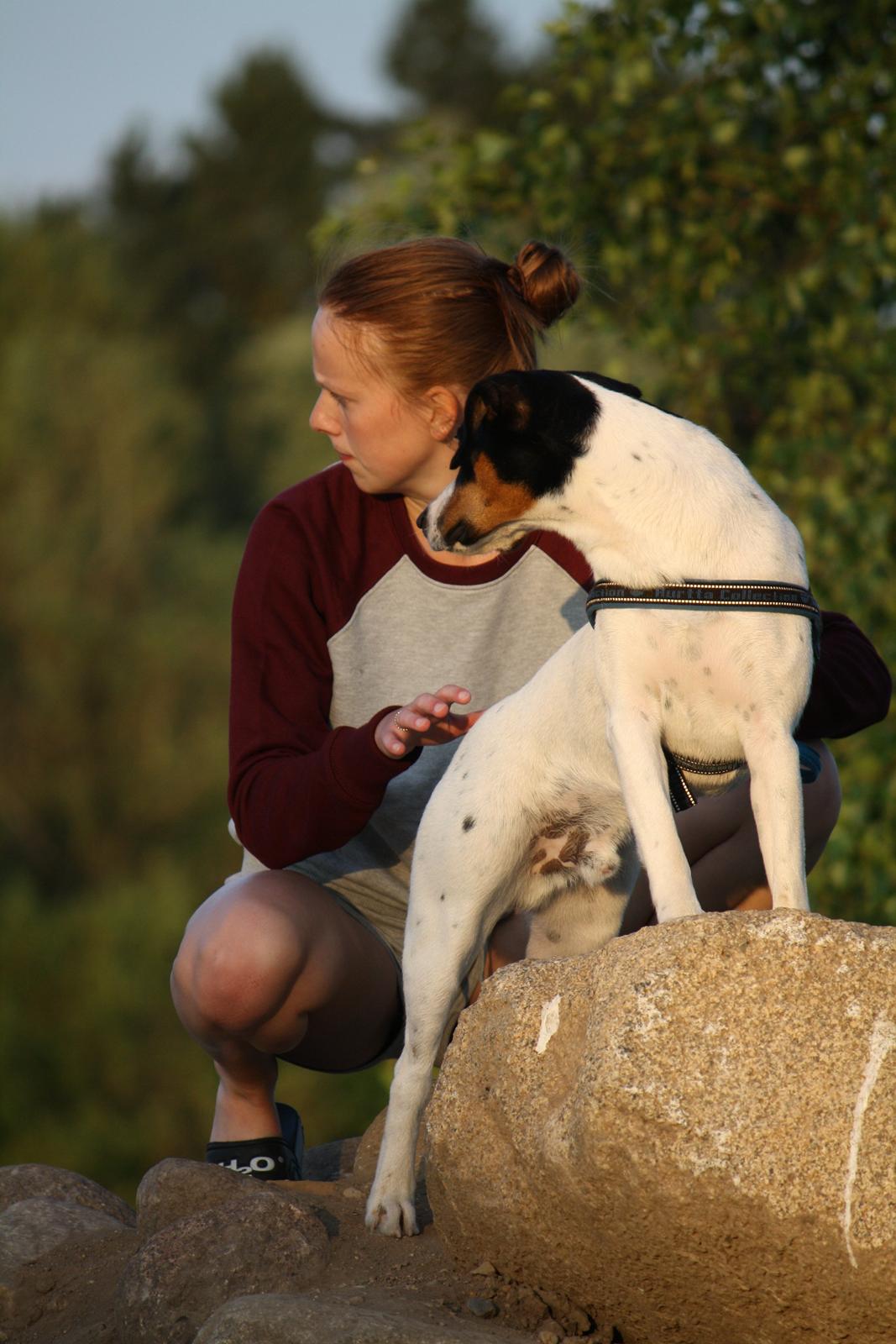 Blanding af racer Pluto - Hihi, vi fik begge øje på en hest ;) billede 20