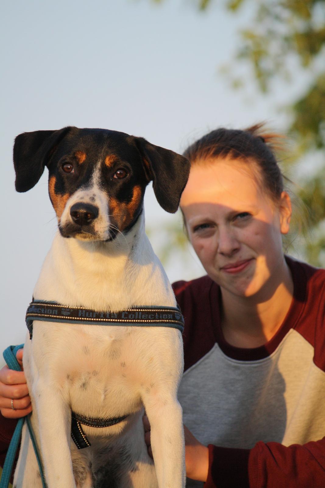 Blanding af racer Pluto - Smukke dyr! ;) billede 4