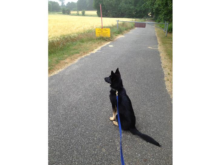 {{currentPhoto.altText}} billede {{currentPhoto.number}}