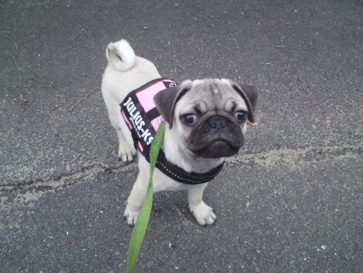 {{currentPhoto.altText}} billede {{currentPhoto.number}}