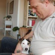 Jack russell terrier Druestrups Hildur "Dina"