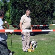 Jack russell terrier Druestrups Hildur "Dina"