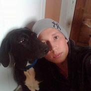 Blanding af racer basil