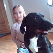 Blanding af racer basil