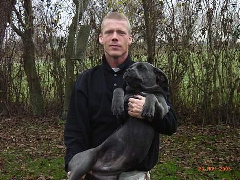 Cane corso Charlie - Dejligt at far gider at bære mig.... billede 6
