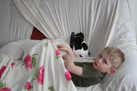 Blanding af racer Eddie - så skal der hygges*S* billede 11