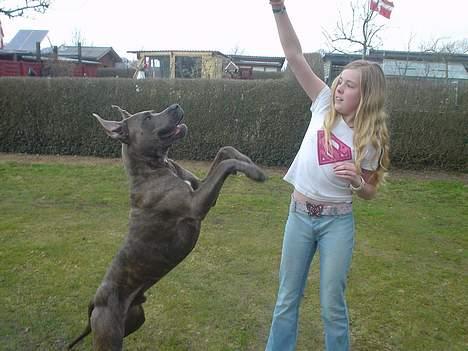 Blanding af racer Kovaz R.I.P - Play play play billede 4