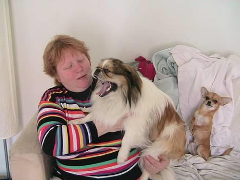 Pekingeser Danger - Savner dig!! 2004 - 2010 - Min søde mormor og mig. billede 13