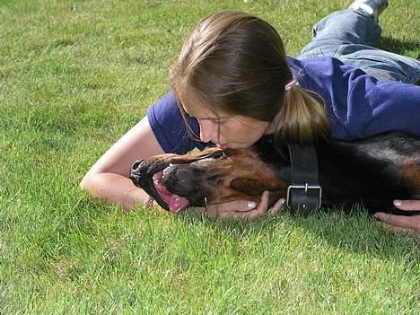 Dobermann Sanguesa T-bone *28-9-05* billede 4