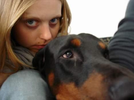 Dobermann Sanguesa T-bone *28-9-05* billede 6