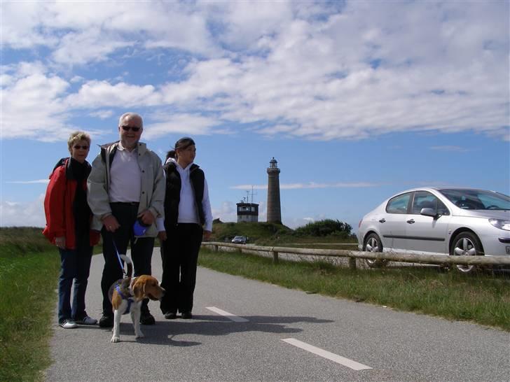 Beagle Bob RIP 22/10-2017 - Familien Brink billede 4