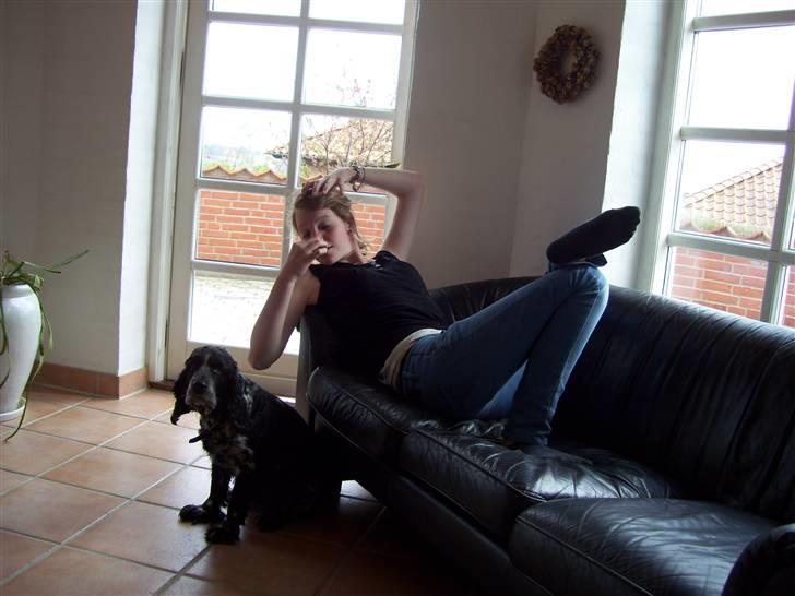 Cocker spaniel Idefix  - Idefix og Dinah :D haha- 2008 billede 5