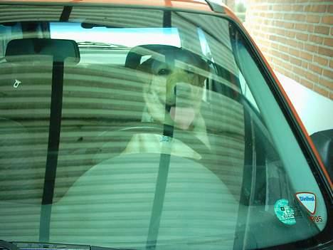 Labrador retriever Balou (RIP) - kører lige en lille tur i vores bil. billede 15