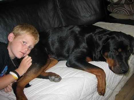 Rottweiler Tulle Larsen - Her er min anden storebror, Frederik!!! billede 15