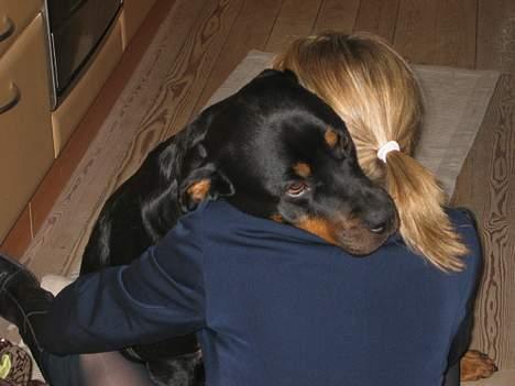Rottweiler Tulle Larsen - Pyha... det var godt min mor kom hjem fra arbejde! Jeg har SAVNET hende helt vildt! billede 16