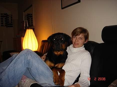 Rottweiler Tulle Larsen - Jeg er en minipuddel... min familie har bare ikke opdaget det endnu.... billede 17