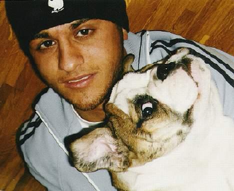 Engelsk bulldog Mojo  * R.I.P. * :´(  billede 3