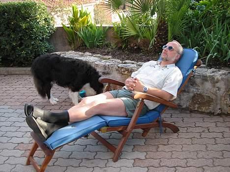 Border collie Basse - mig og far hygger på terrassen billede 6