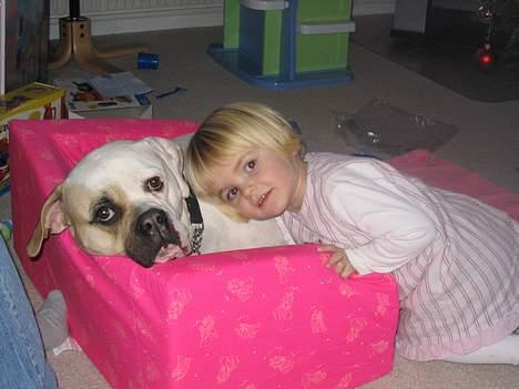 Amerikansk bulldog Ørsted´s Nanna - Jule aften 2005 billede 15