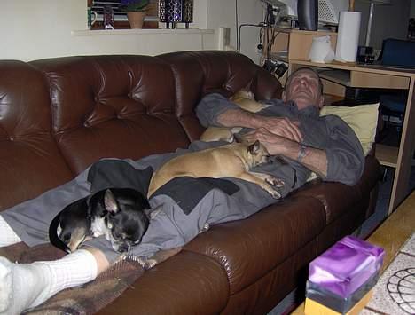 Chihuahua Tupac Shakur - Dette er intet mindre end total afslapning billede 7