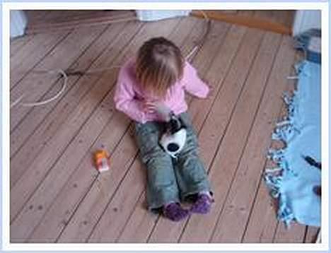 Chihuahua Tjalfe R.I.P Juni 2011 - Hva´er det mon hun sir´........ billede 5