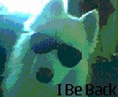 Samojedhund samtrail born Nuuk *R.I.B - NUUK er tilbage billede 16