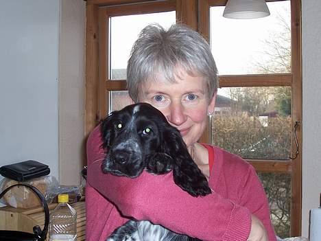 Cocker spaniel Freya - Her får jeg lige en krammer af min mormor! billede 8