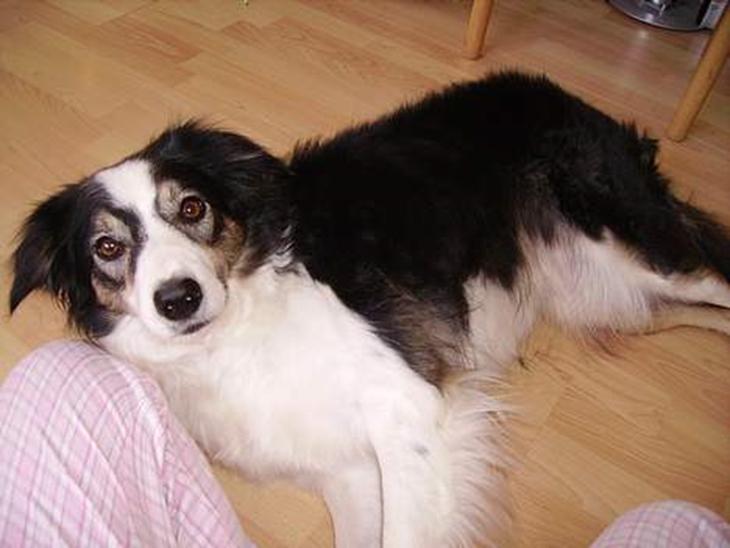 {{currentPhoto.altText}} billede {{currentPhoto.number}}