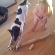 Blanding af racer Buller