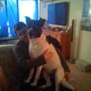 Blanding af racer Buller