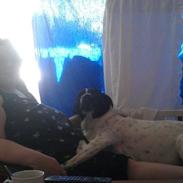 Blanding af racer Buller