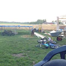 Blanding af racer Sæsar