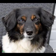 Blanding af racer Mathilde