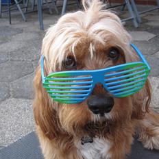 Blanding af racer Arthur