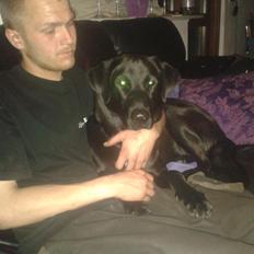 Blanding af racer Buller