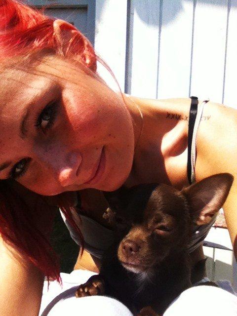 Chihuahua Chicka billede 14