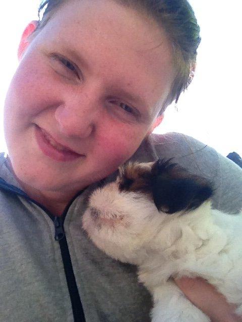 Lhasa apso Alma billede 1