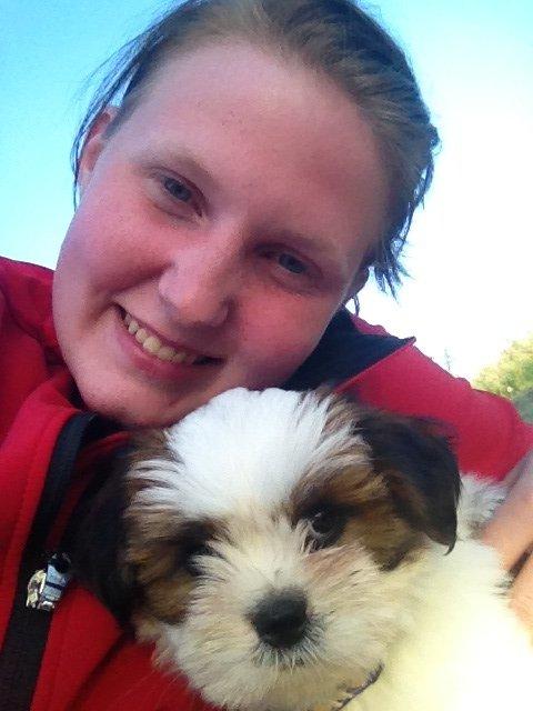 Lhasa apso Alma billede 3