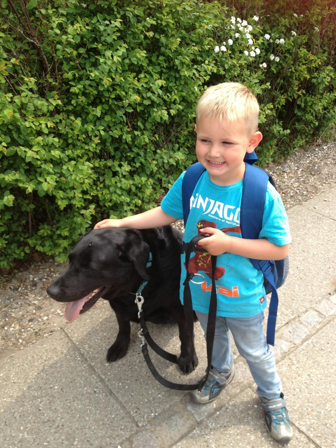 Blanding af racer Sofus billede 5