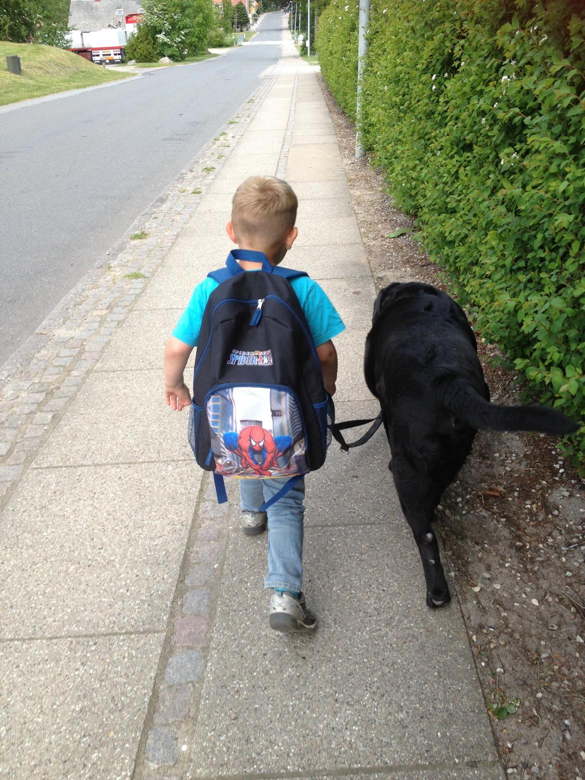 Blanding af racer Sofus billede 6