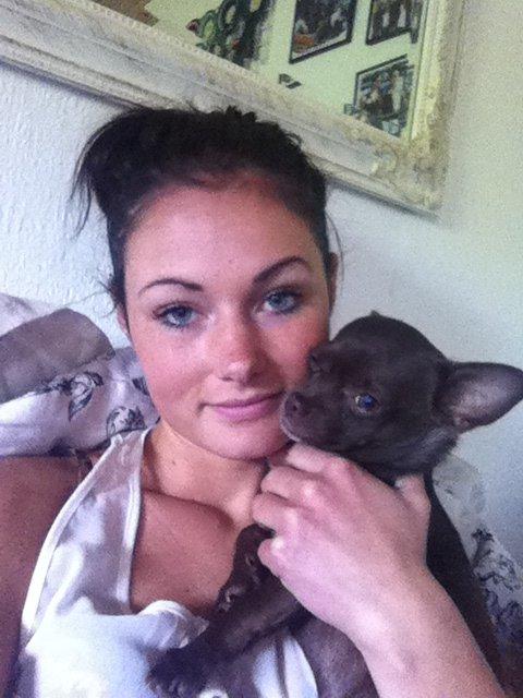 Chihuahua Chicka billede 20