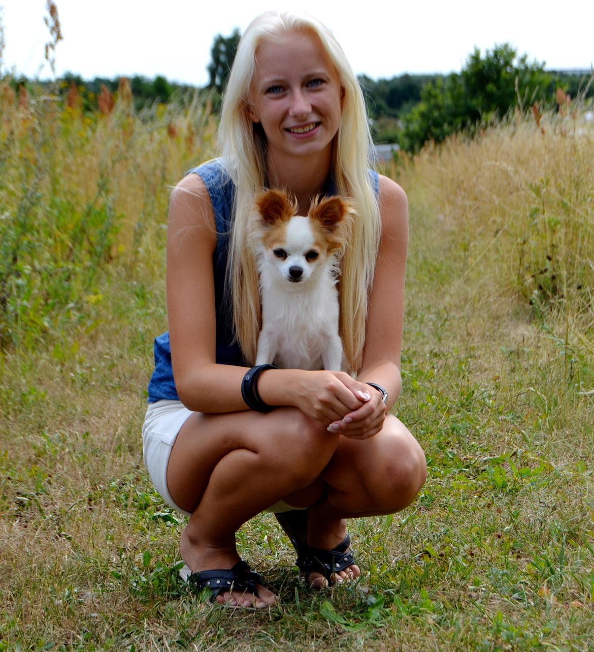 Chihuahua Viktor - Hund og ejer. billede 10