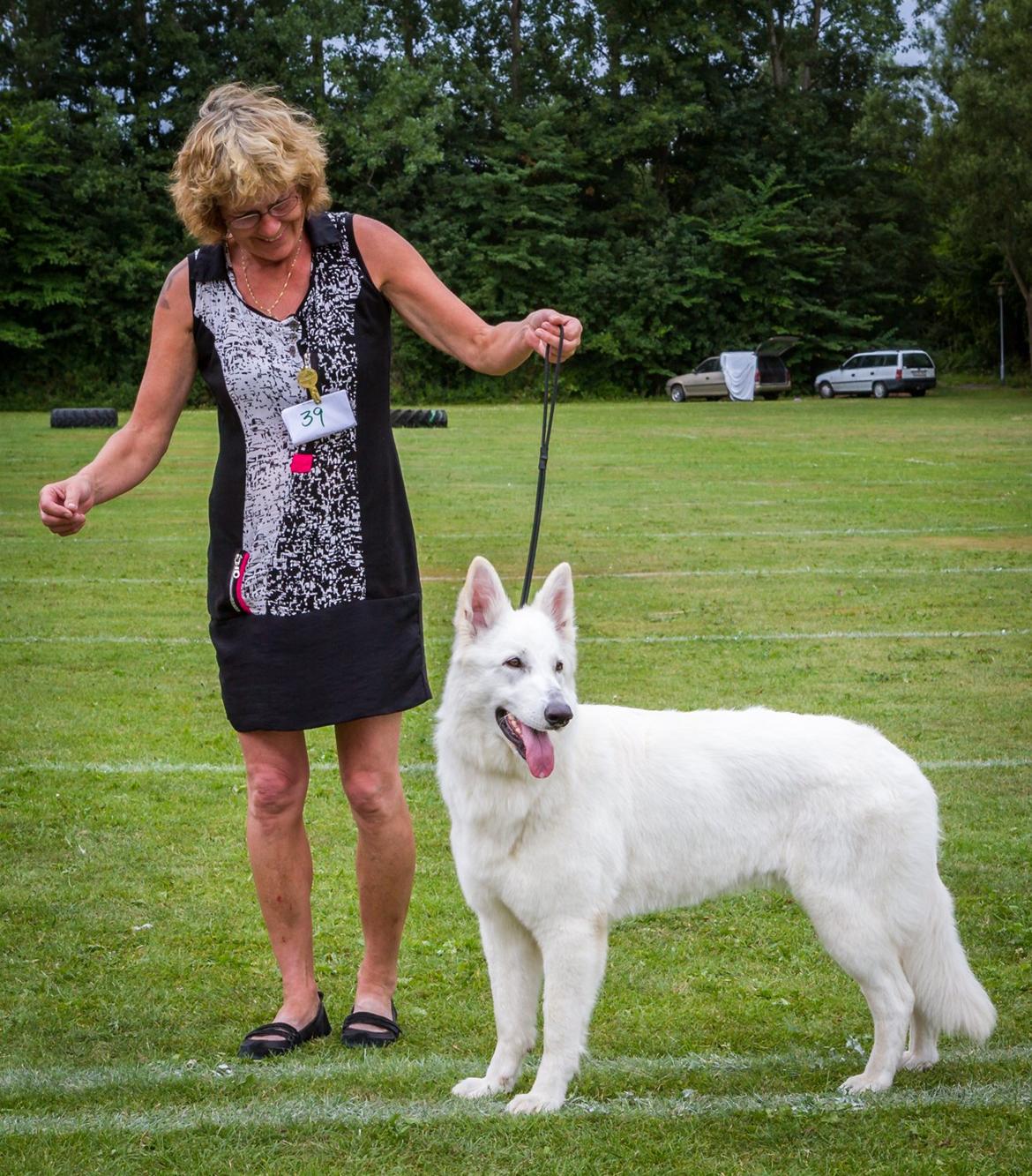 Hvid Schweizisk Hyrdehund Britaje Amira Angélique billede 8