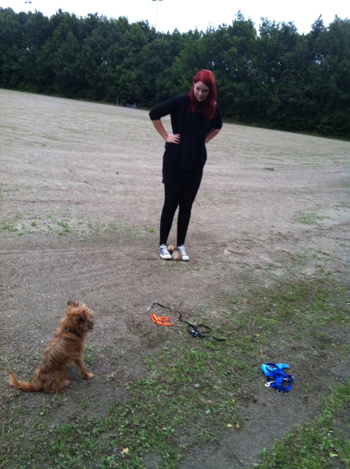 Blanding af racer Sahirah billede 3