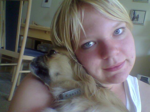 Tibetansk spaniel Gaz ( Famillines hund) billede 4