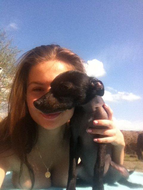 Peruviansk hårløs Emma <3 billede 4