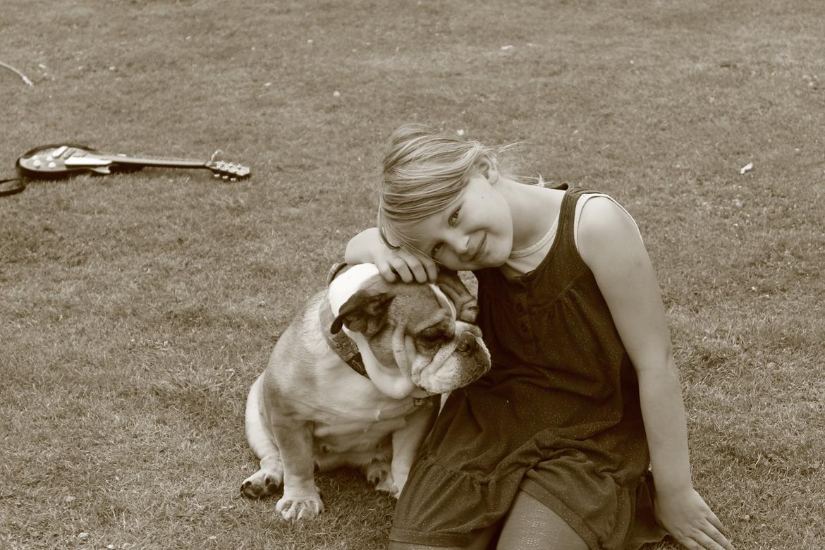 Engelsk bulldog Dixi Gromadka Bubiny *RIP* billede 23