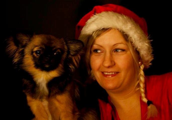 Chihuahua bella billede 2