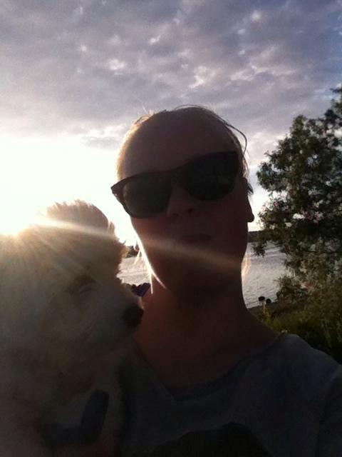 Coton de tulear Pilgaards Coton Ludvig ``Den Blå´´ - Vi nyder lige lidt sol :D billede 12